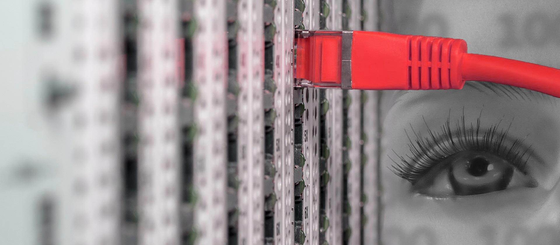 Super Fast Shared Web Hosting With Great Support