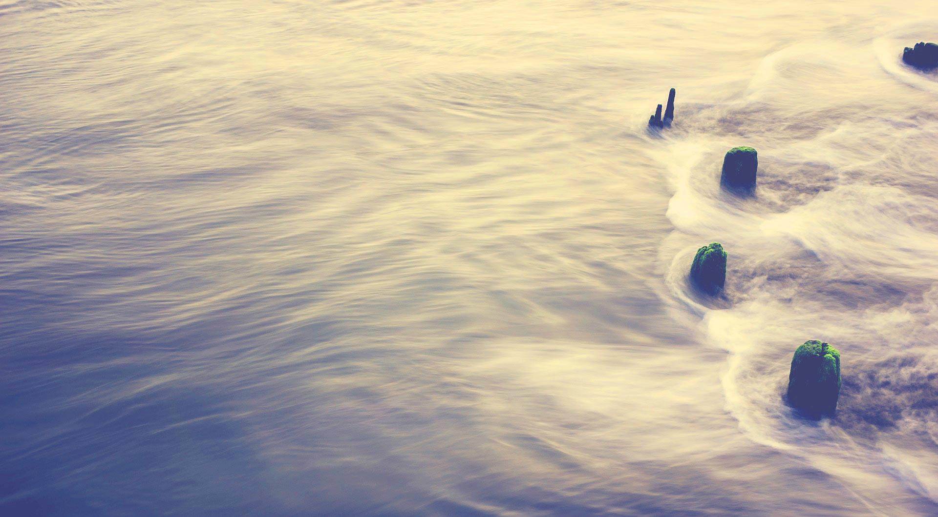 Consciousness and Flow