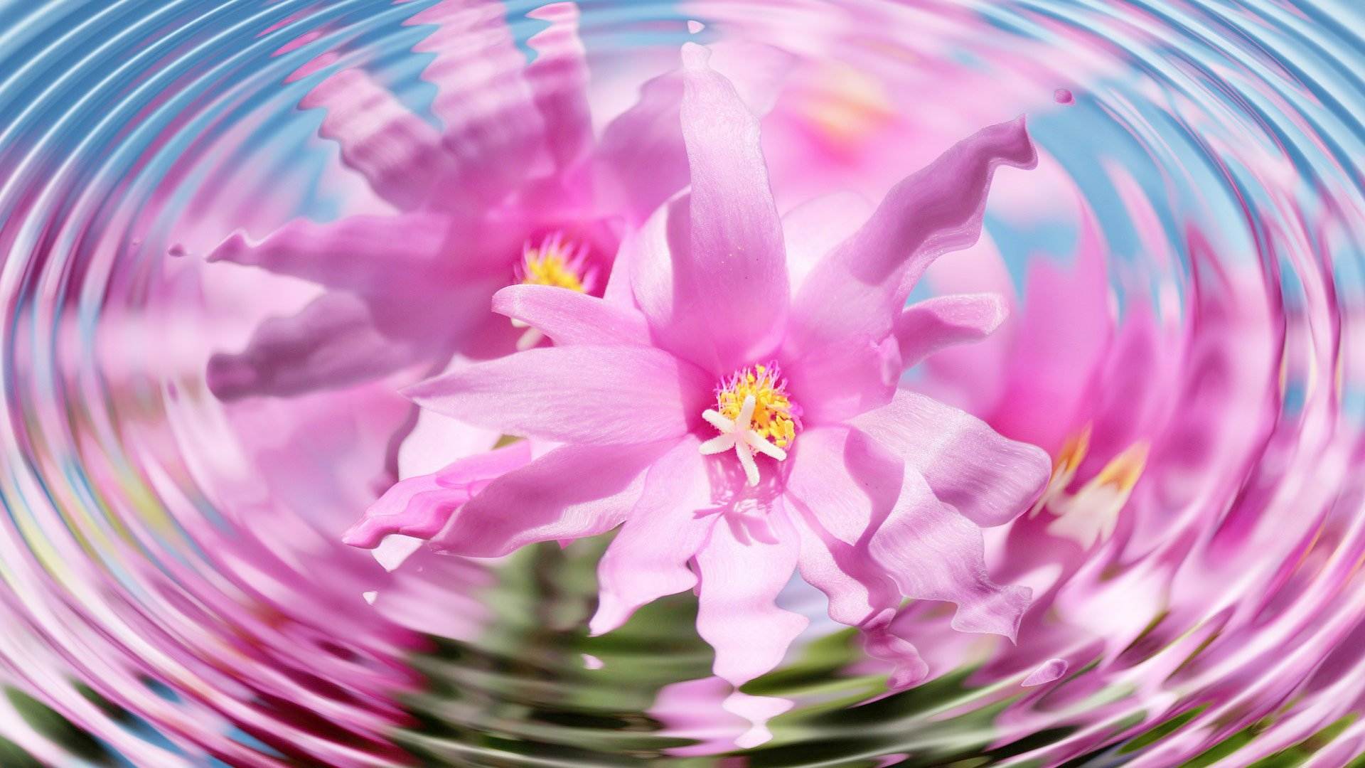 The Law of Attraction and Frequency