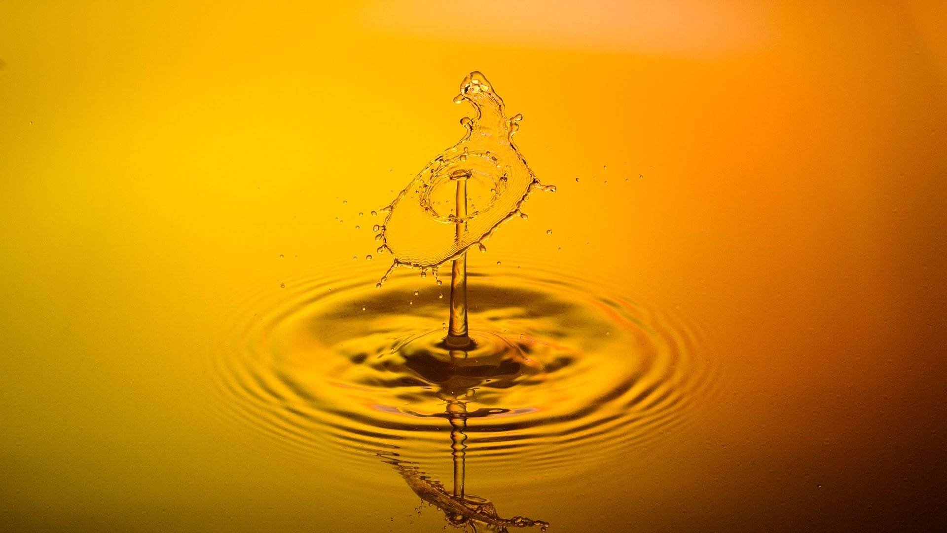 How to Reduce the Height of Single Post and Page Featured Images in the Twenty Seventeen Theme