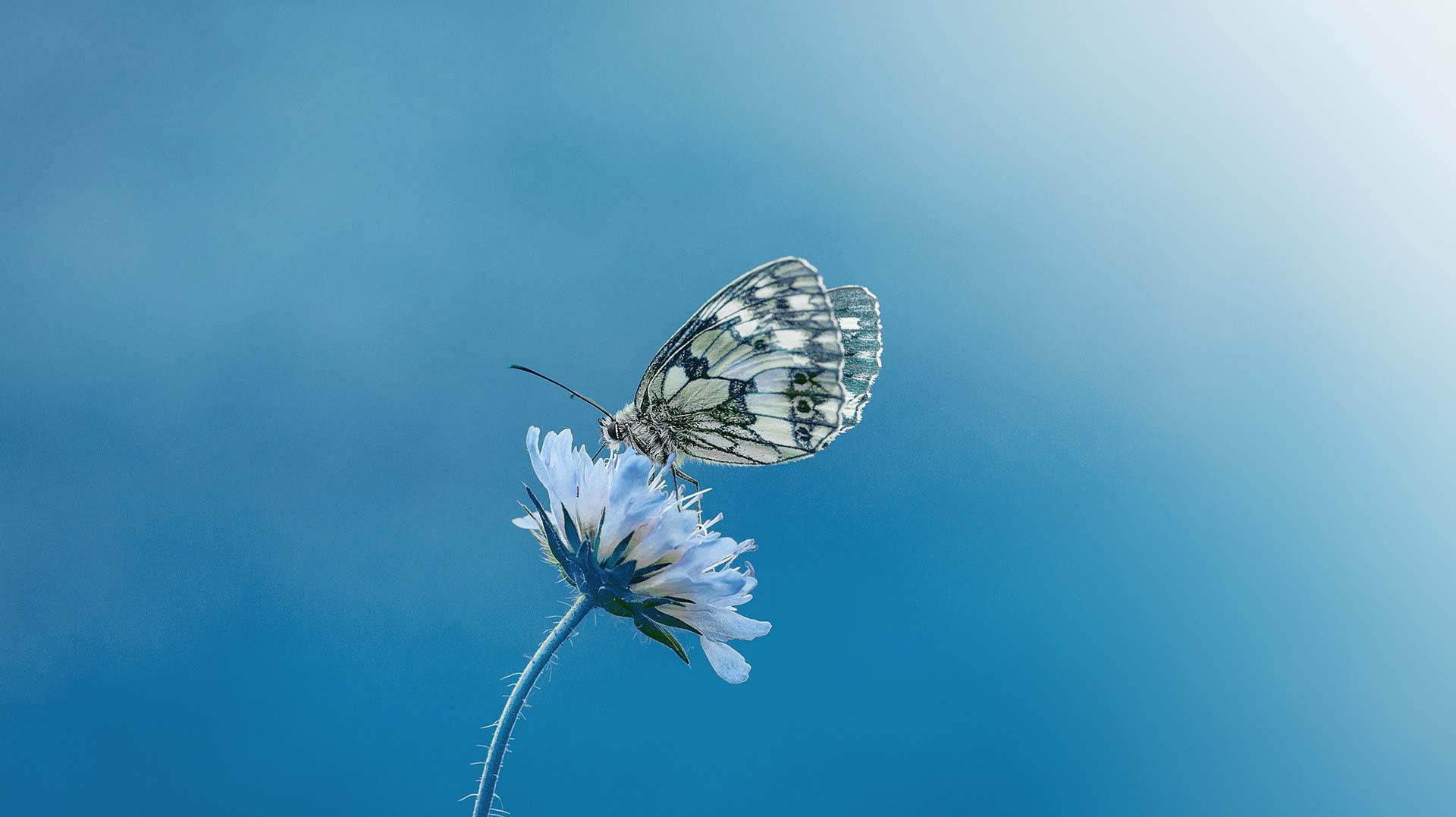 From Developing Websites to Helping Transform and Heal Your Life Situations