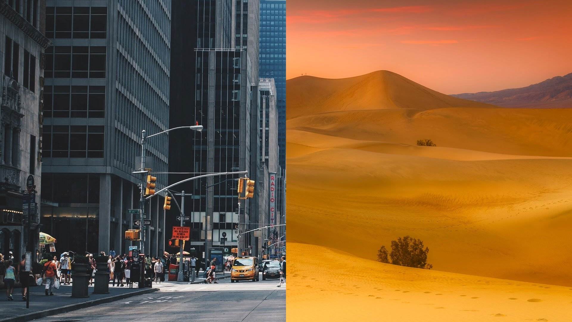 Can You Leave a City for a Desolate Place to Achieve Inner Peace?