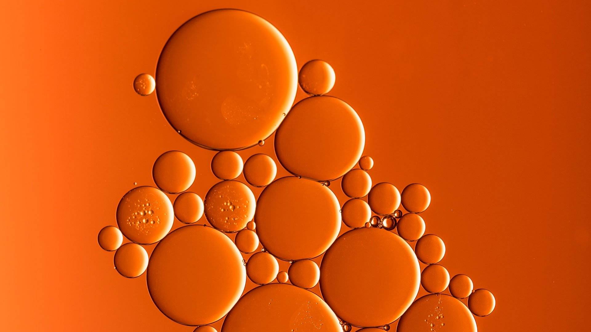 A Cell is Fundamentally Controlled by the Environment, Not Directly by Genes