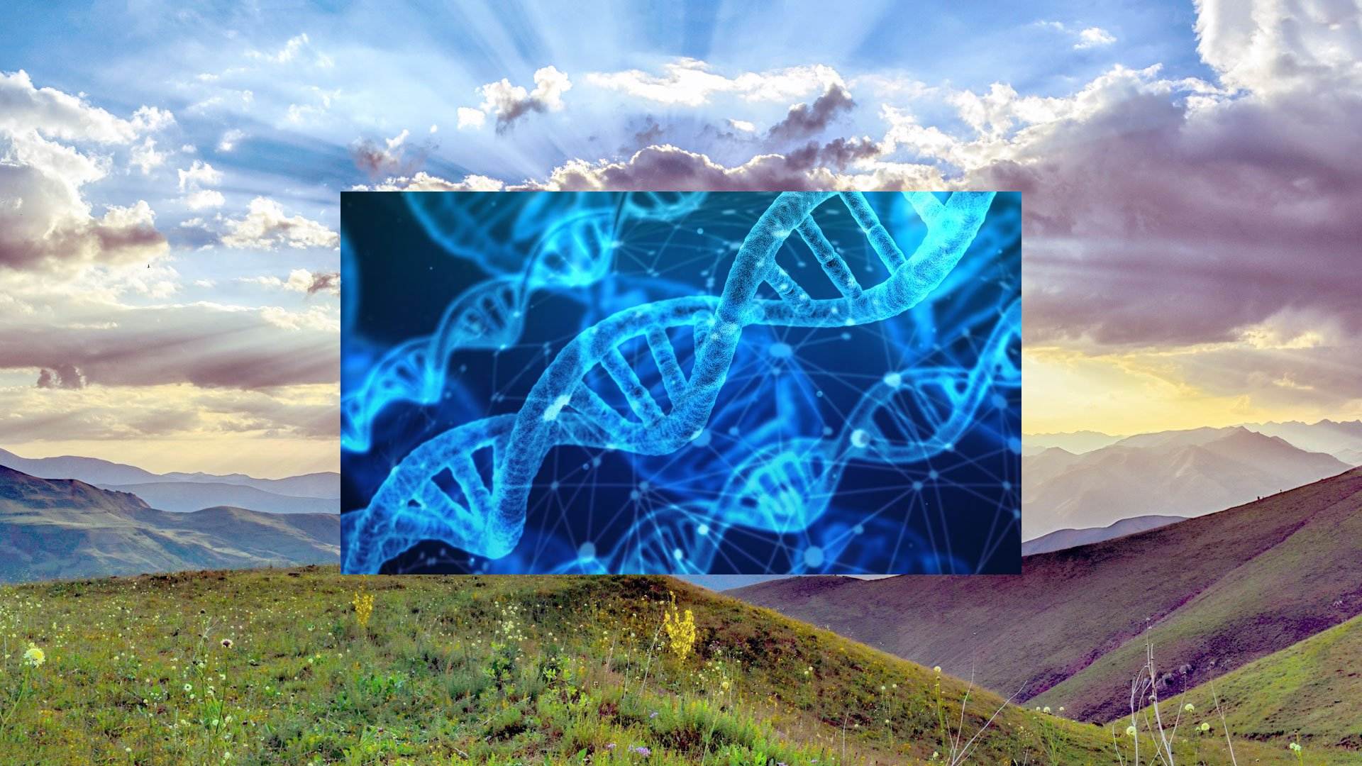 Why Genes Cannot Themselves Control Our Traits, and What Does