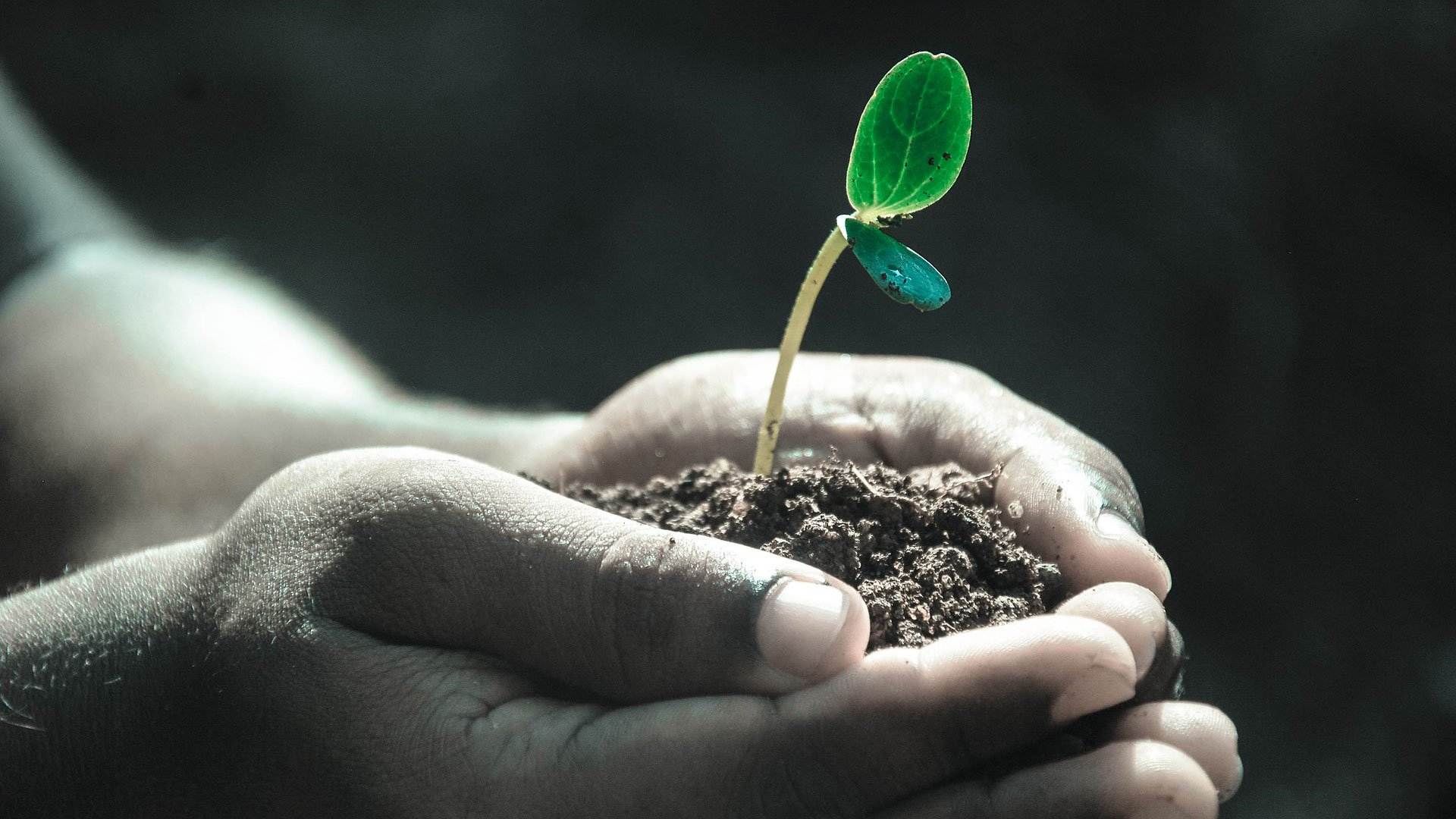 How Protection Prevents Us Growing, Thriving, and Creating Life-Sustaining Energy