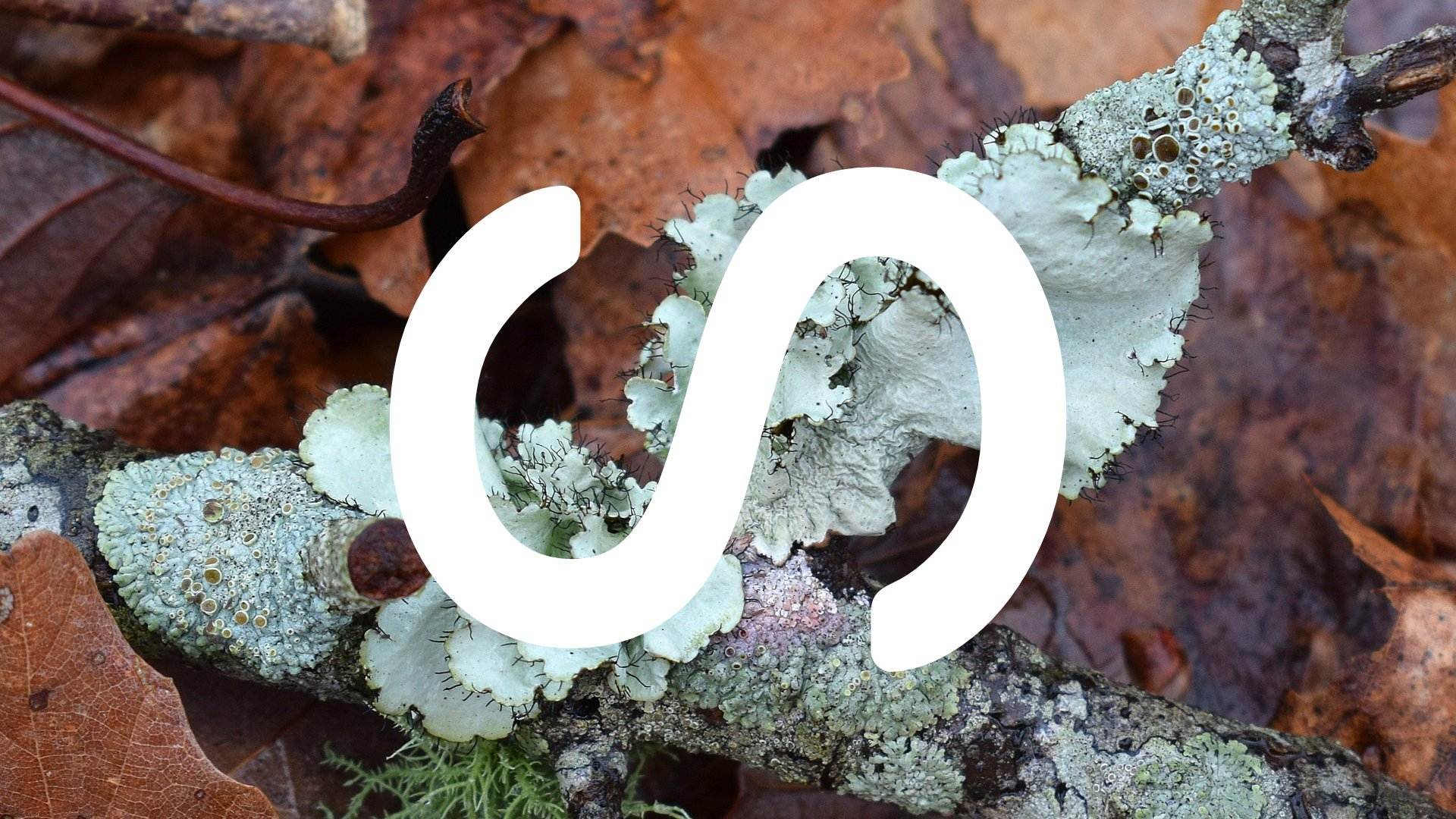 Bacteria Live in Symbiosis With Humans and Keep Us Healthy
